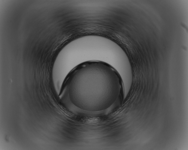 X0000091710456200709071416