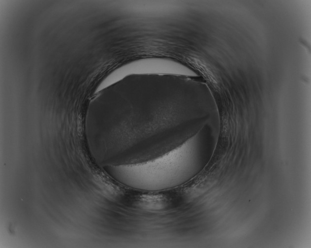 X0000091710457200709071416