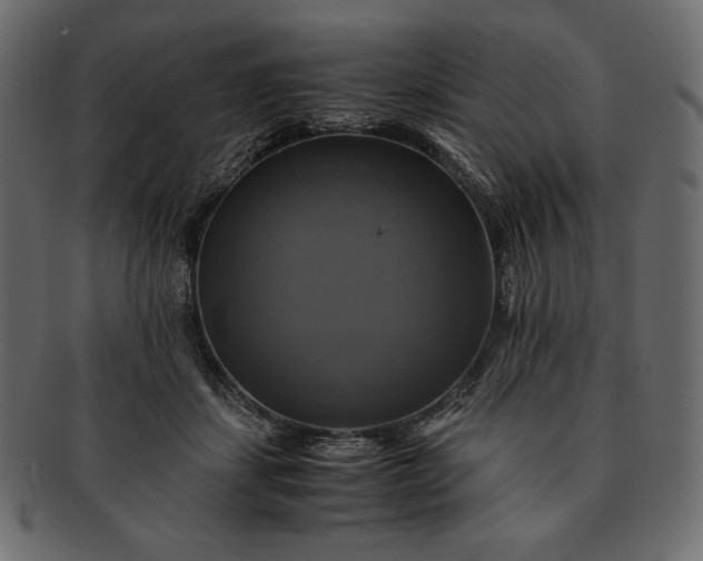 X0000091710459200709071416