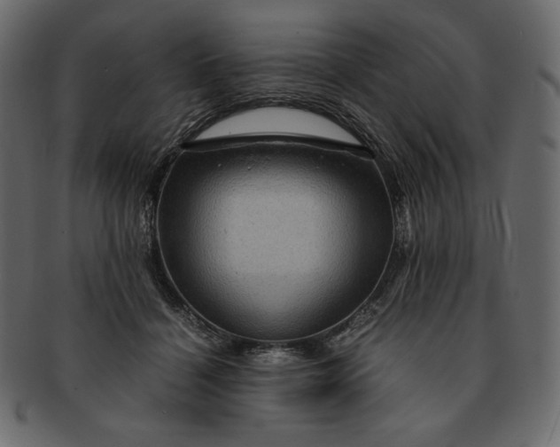 X0000091710460200709071416