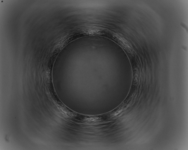 X0000091710461200709071416