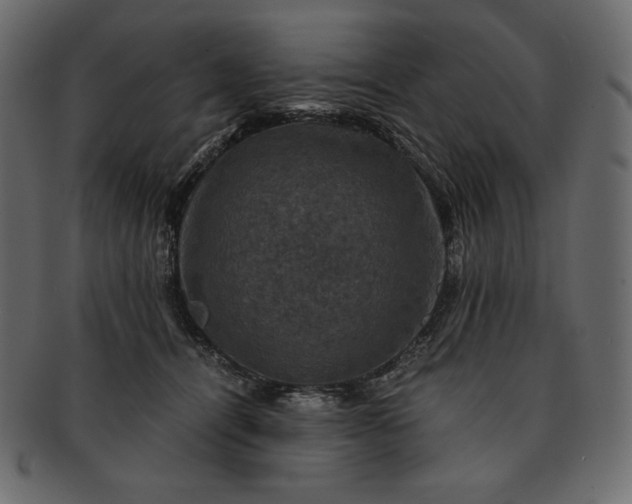 X0000091710464200709071416