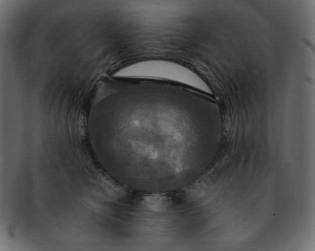 X0000091710470200709071416