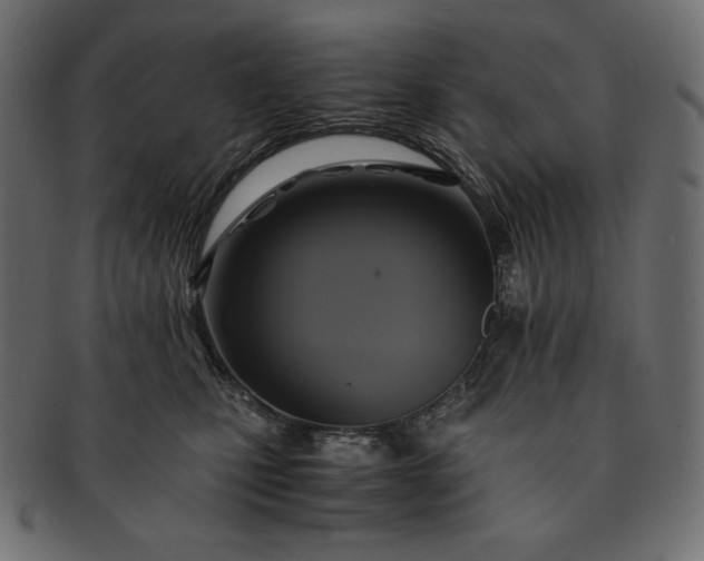 X0000091710471200709071416