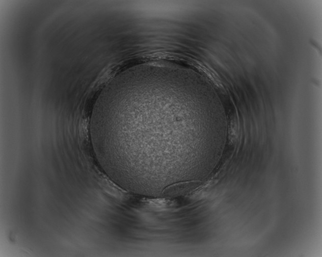 X0000091710473200709071416