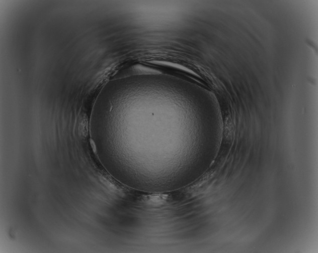 X0000091710474200709071416