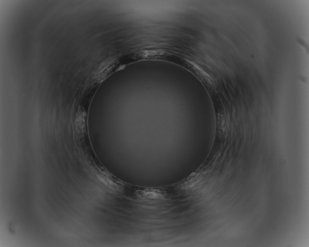 X0000091710475200709071416