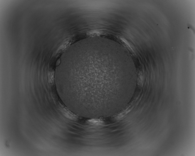 X0000091710477200709071416