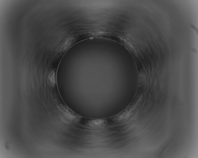 X0000091710479200709071416