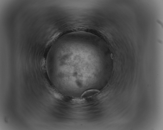 X0000091710480200709071416