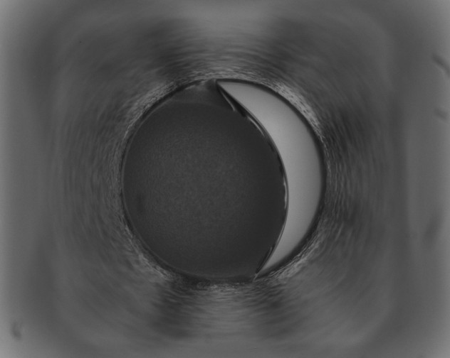 X0000091710481200709071416