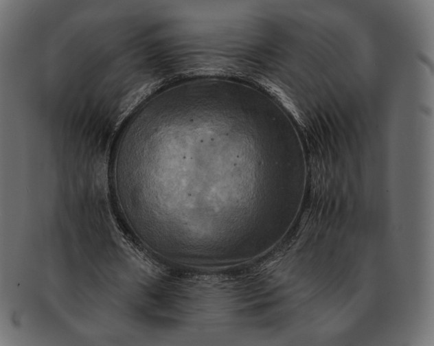 X0000091710482200709071416