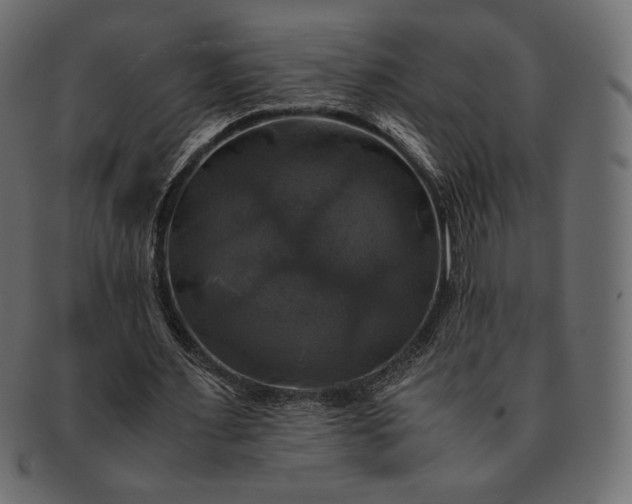 X0000091710483200709071416