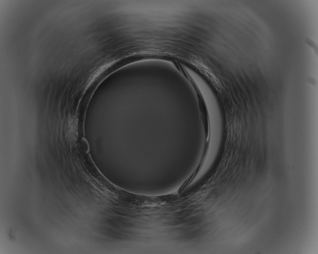 X0000091710484200709071416