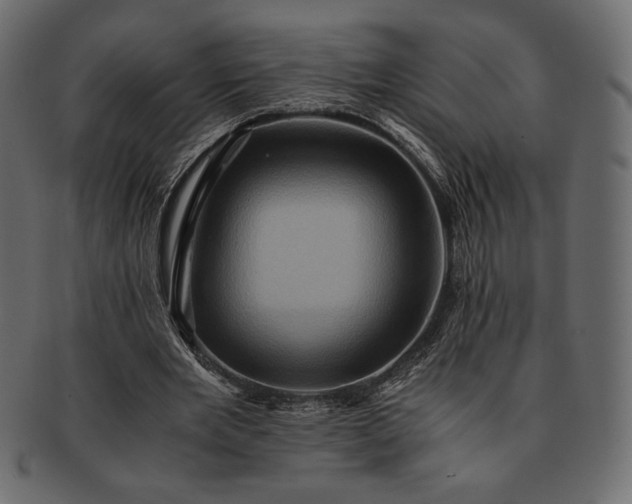 X0000091710485200709071416