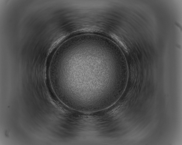 X0000091710486200709071416