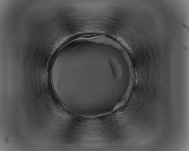 X0000091710488200709071416