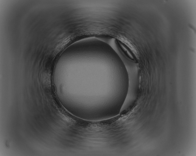 X0000091710489200709071416