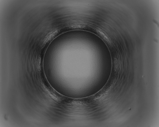 X0000091710490200709071416