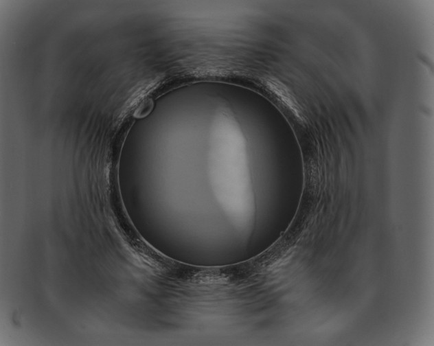 X0000091710491200709071416