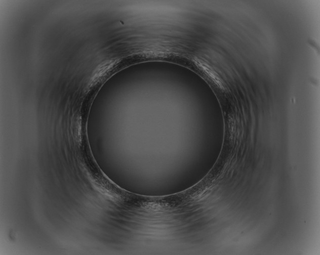 X0000091710494200709071416