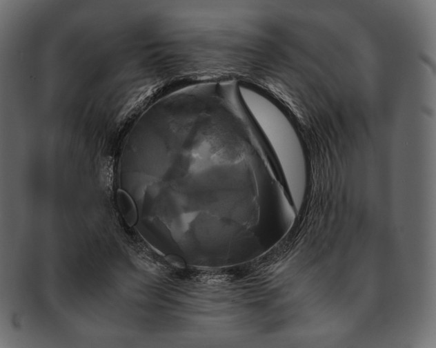 X0000091710495200709071416