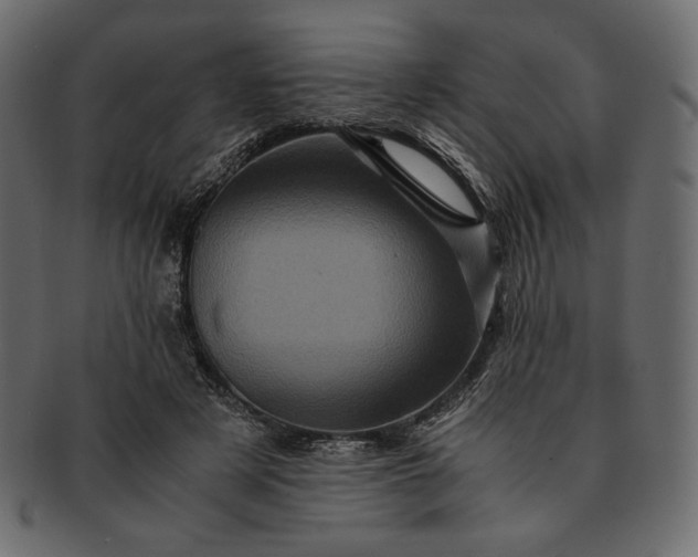 X0000091710497200709071416