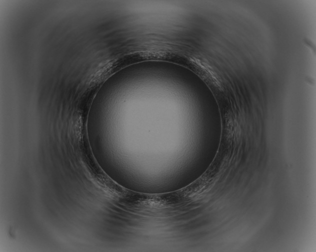 X0000091710498200709071416