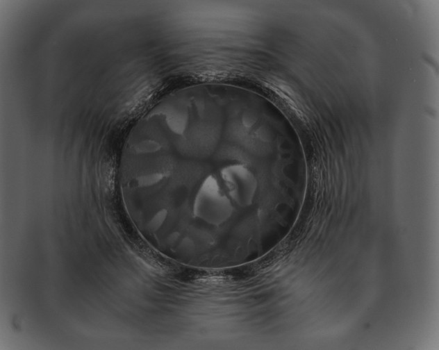 X0000091710499200709071415