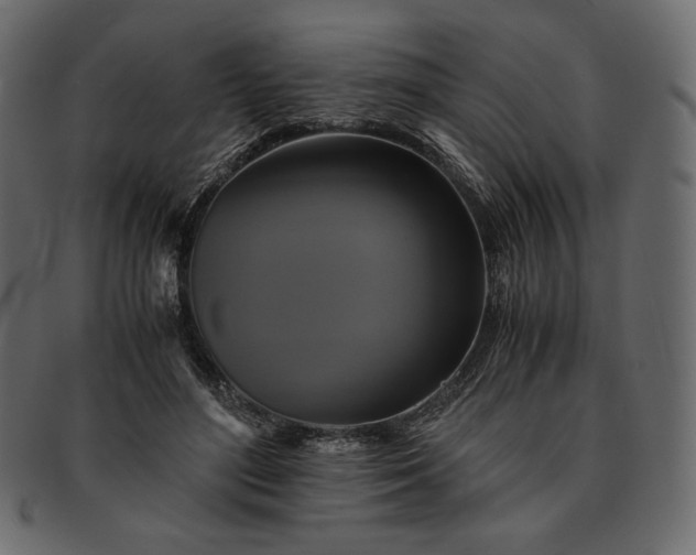 X0000091710500200709071415