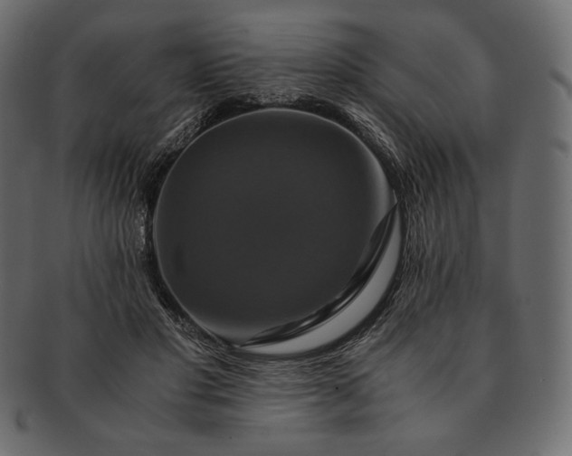 X0000091710501200709071415