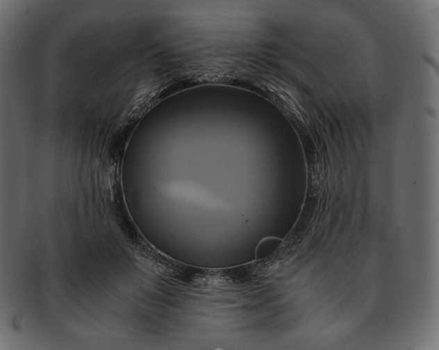 X0000091710503200709071415