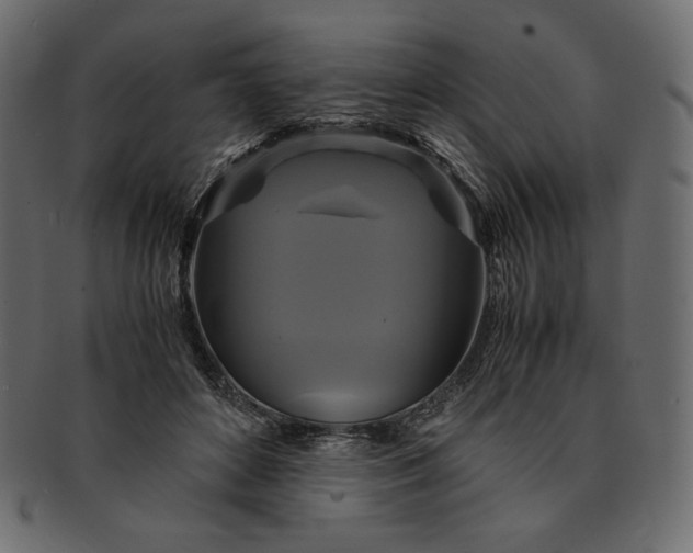 X0000091710504200709071415