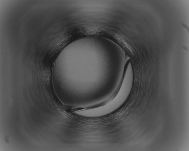 X0000091710505200709071415