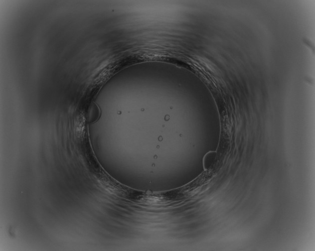 X0000091710507200709071415