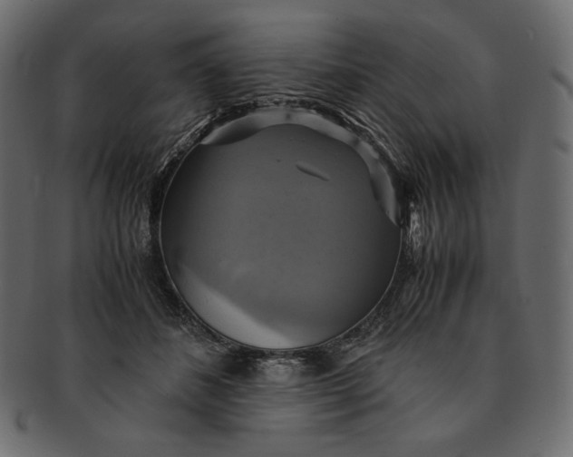 X0000091710508200709071415