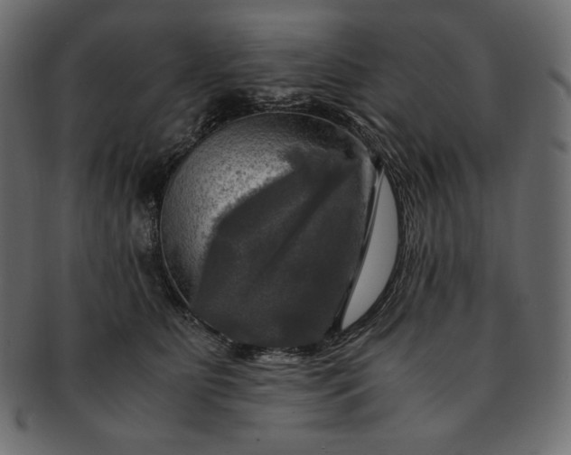 X0000091710515200709071415