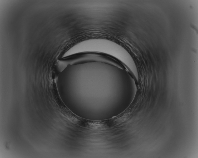 X0000091710516200709071415