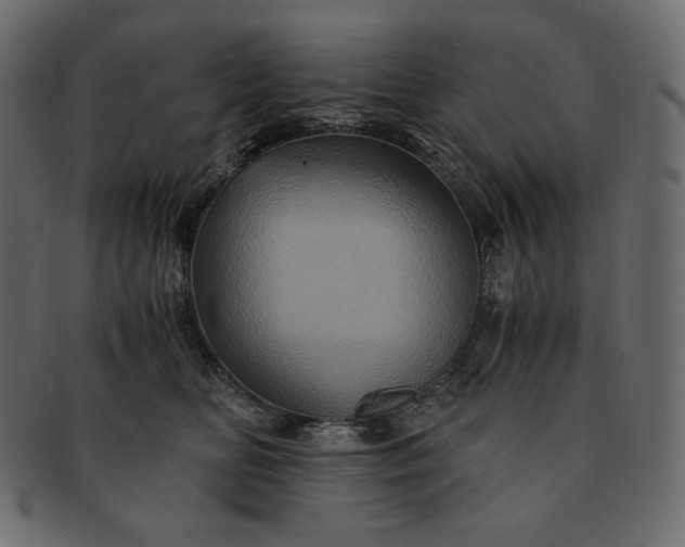 X0000091710518200709071415