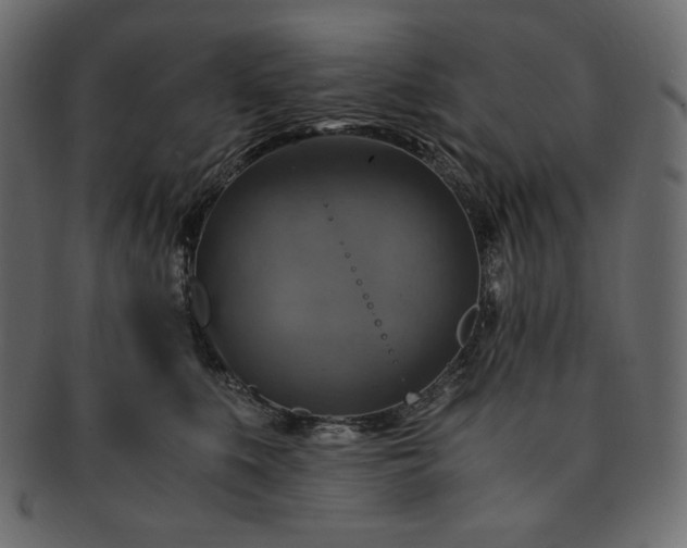 X0000091710519200709071415