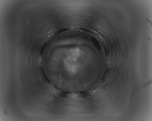 X0000091710523200709071415