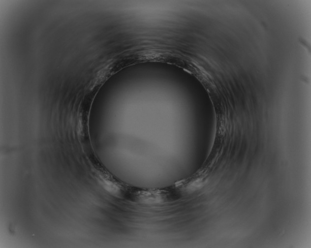 X0000091710524200709071415