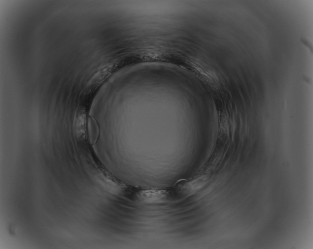 X0000091710526200709071415