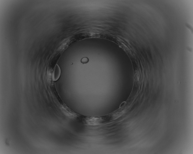 X0000091710527200709071415