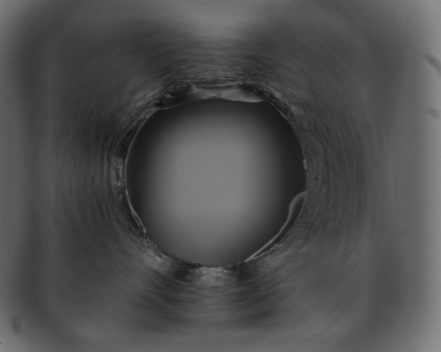 X0000091710528200709071415