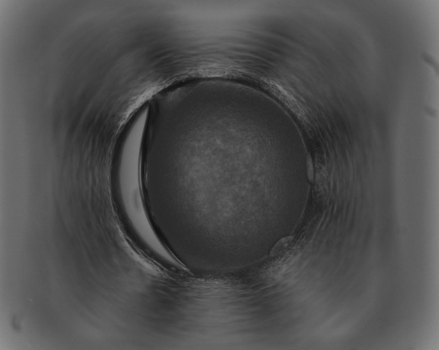 X0000091710530200709071414