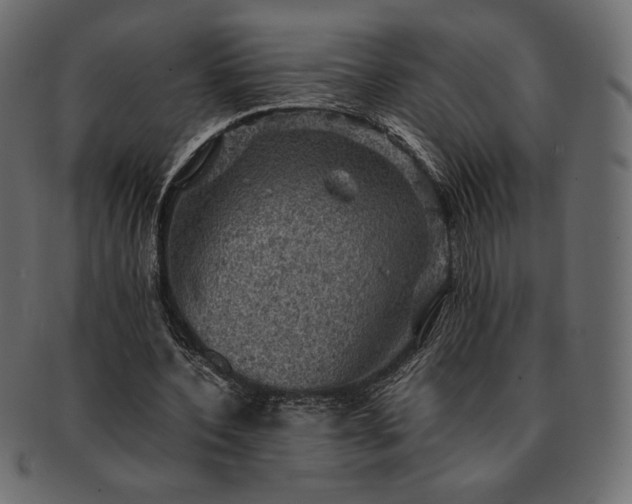 X0000091710532200709071414