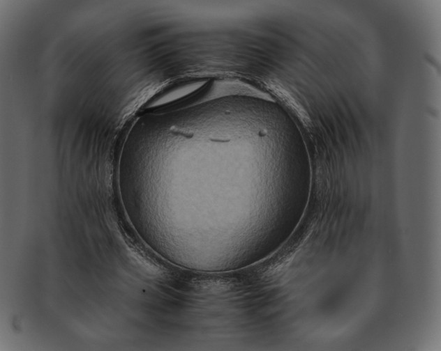 X0000091710533200709071415