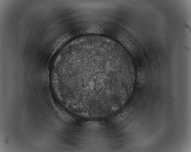 X0000091710534200709071415