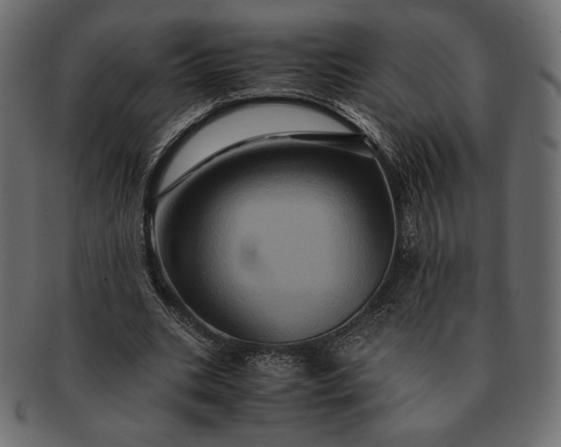 X0000091710535200709071415